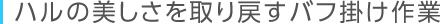 ハルの美しさを取り戻すバフ掛け作業