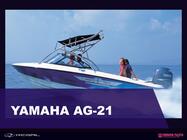 YAMAHA AG-21