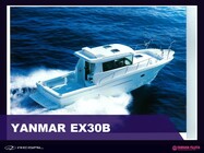 YANMAR EX30B
